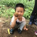 보아유치원 이미지