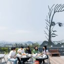 강원봉의산닭갈비