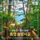 산책길