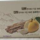 아리엘미문