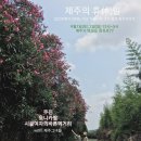 휴(休)민박 이미지