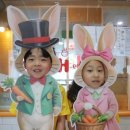 하바어학원 이미지