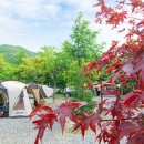 무주수목원캠핑장&글램핑 이미지
