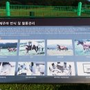 가라월라 이미지