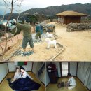 혜원종합인쇄 | 삼척여행_덕배와 애랑의 슬픈 사랑 이야기가 전해 내려오는 性 민속공원 [해신당공원]