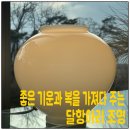 복이 들어오는 달항아리 꽂꽂이 | 라디룸, 복이 들어오는 달항아리 조명