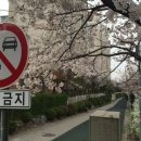 들꽃내음새 이미지