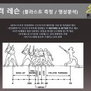 [군포, 안양, 수원, 안산] ## 쇼케이 스포츠 베이스볼 ## 200평규모와 7M층고 / 한국최초 비선수출신 프로야구 선수배출 / 겨울 동계 장기 팀레슨 모집중 이미지