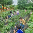 연천유치원 이미지