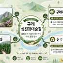 강물 굽이 따라 대나무숲이 600m 이어진다고?... 무료로 개방된 강변 힐링 생태 산책로 이미지