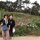 졸업 60주년, 팔순기념여행. 이미지