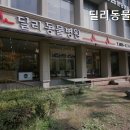 딜리동물병원 네이버블로그