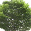 동송읍사무소 이미지