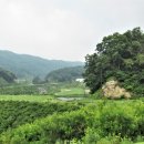 베뉴지 cc 티스토리