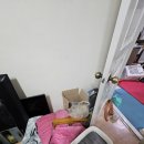 더치움 이미지
