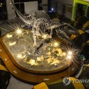 주식회사 메타랩 이미지