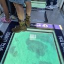 장호바다숲폔션 | [삼척여행]강원도 삼척 아이랑 가볼만한곳 장호항 투명카누 삼척 해상케이블카