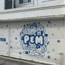 P&M 반려견교육센터 대전점 이미지