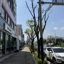 문막읍보건지소 네이버블로그