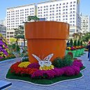 부천시청 주변 이미지