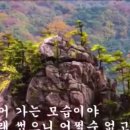 쿨호프 - 삼척시 중앙로 199 | 쿨호프
