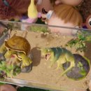 레오 | 가족 영화 〈레오〉 후기 🎬💛