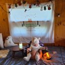 천문로 | [영천숙소] 촌캉스와 캠핑이 가능한 독채펜션 잭큐몬티562