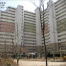와촌면사무소 네이버블로그