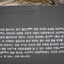 칠장사 사적비 Daum카페