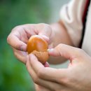 초원농원2 이미지