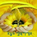순화궁로 이미지