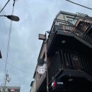 셀피스트