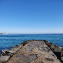 도깨비수산 이미지