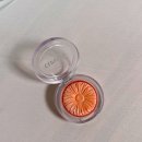 퍼피팝(POPPY POP) 이미지