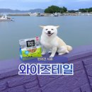 호키소프트 | 강아지 소트프사료 추천, 기호성 좋은 오븐베이크사료 와이즈테일