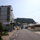 피아모텔 | 제주 성산일출봉 날씨 좋은 날 소요시간 유채꽃