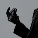 퓨메