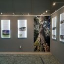 2021년 준경묘, 영경묘 유물특별전 | 준경묘ㆍ영경묘 유물 특별전