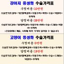 신현동물병원 | 인천서구길동물병원: 중성화 수술 후기/ 고양이 중성화수술/ 인천 고양이 중성화수술/ 암컷 고양이 중성화