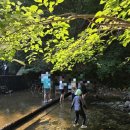 금화계곡주차장 | 아이랑 가볼만한곳 대구 근교 계곡 추천! 경북 칠곡 금화계곡 솔직후기