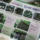 천년마을송편 이미지