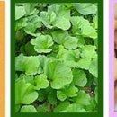 농업회사법인주식회사 자연과전남 이미지