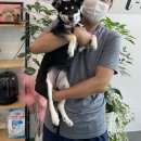 아이펫샵 이미지