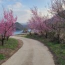 수네가 독채 풀빌라펜션 이미지