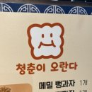 청춘이오란다 이미지