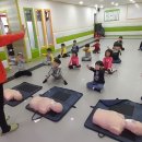 용인대행복한태권도장 이미지