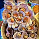 해오름포차 이미지