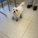 그루밍부스 이미지