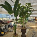 다육농가민박 이미지