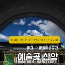 예술곶산양 네이버블로그